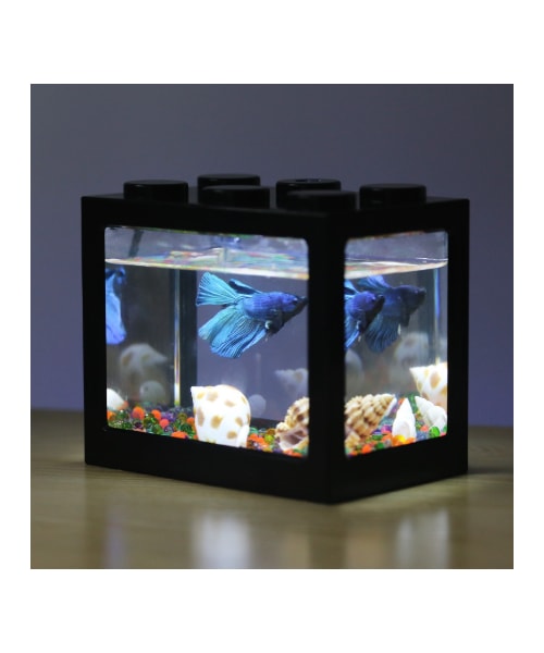 水槽 Ten Nobu Amazon | 金魚鉢 創造的な水槽 水族館 魚の形をしたガラスの水槽