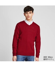 UNIQLO | エクストラファインメリノVネックセーター（長袖）(ニット/セーター)