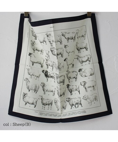 ASEEDONCLOUD（アシードンクラウド）の「ASEEDONCLOUD アシード