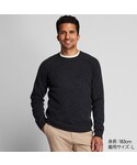 ユニクロ | プレミアムラムクルーネックセーター（長袖）(針織衫)