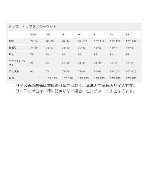 patagonia（パタゴニア）の「パタゴニア patagonia M’s Fitz Roy Hex Responsibili-Tee 38439 メンズ・フィッツロイ・ヘックス・レスポンシビリティー 正規品 2019 春モデル（Tシャツ/カットソー・メンズ・その他）」の4枚目の写真