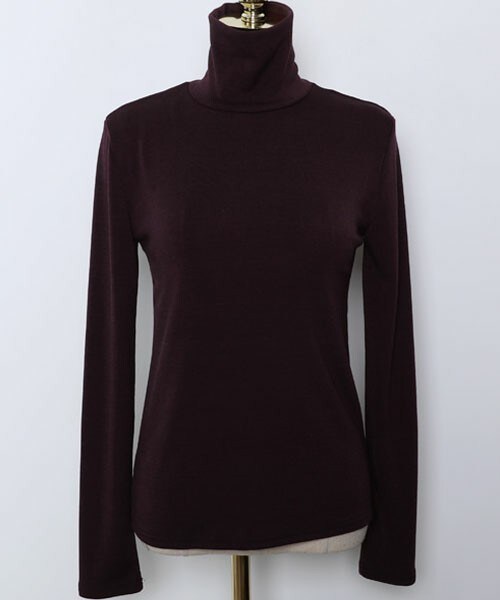 DHOLIC STYLE（ディーホリックスタイル）の「[URBANROSY] ハイネックスリムフィットTシャツ（Tシャツ/カットソー・レディース・ブルー/ベージュ/ブラック/レッド/ホワイト・FREE）」の5枚目の写真