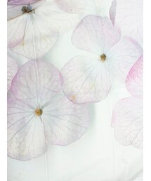 hemma design a porter（エマ・デザイン・ア・ポルテ）の「H.P.DECO