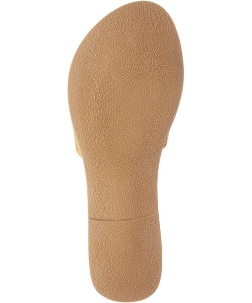 Coconuts by Matisse（）の「BEACH BY MATISSE Coconuts by Matisse Cabana