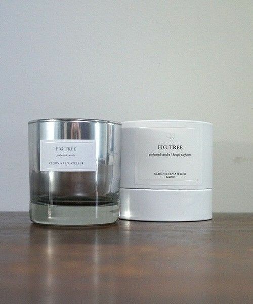 CLOON KEEN ATELIER（クルーンキーンアトリエ）の「CLOON KEEN ATELIER/CANDLE FIG TREE