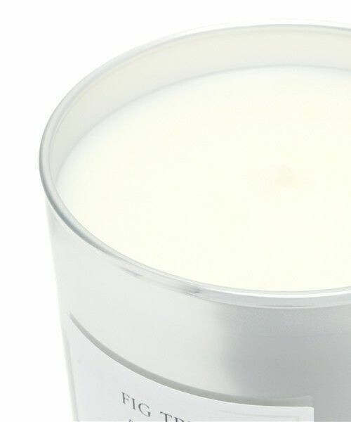 CLOON KEEN ATELIER（クルーンキーンアトリエ）の「CLOON KEEN ATELIER/CANDLE FIG TREE