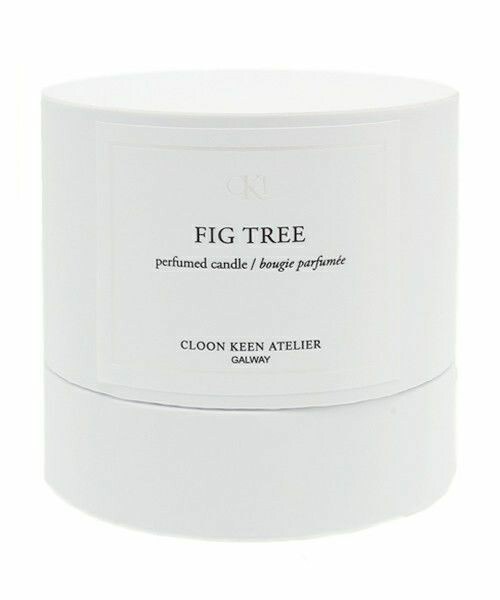 CLOON KEEN ATELIER（クルーンキーンアトリエ）の「CLOON KEEN ATELIER/CANDLE FIG TREE
