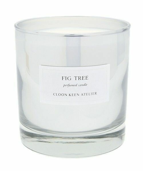 CLOON KEEN ATELIER（クルーンキーンアトリエ）の「CLOON KEEN ATELIER/CANDLE FIG TREE