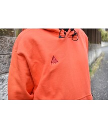 NIKE ACG（ナイキエィシージー）の「NIKE ACG LOGO 胸刺繍ロゴ