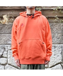 NIKE ACG（ナイキエィシージー）の「NIKE ACG LOGO 胸刺繍ロゴ