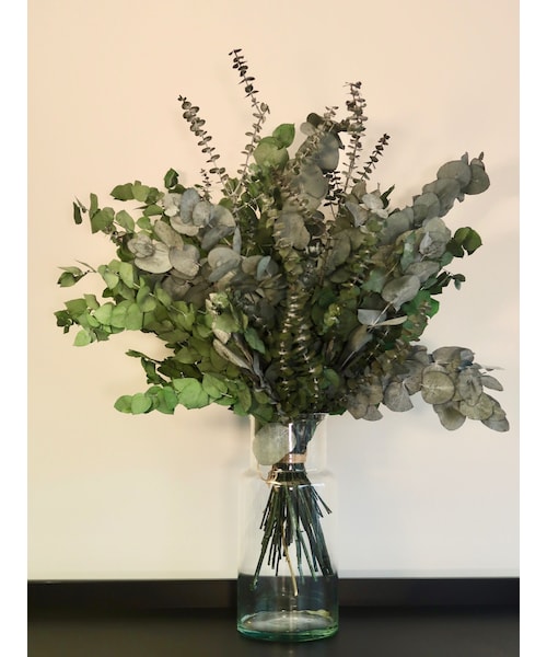 No Brand ノーブランド の Ez Barrier Flower 365 抗菌ドライフラワー ユーカリ 花瓶付き 化粧水 Wear