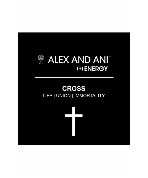Alex and Ani（アレックスアンドアニ）の「Alex and Ani 'Cross Wrap' Expandable Wire Bangle（ブレスレット・Gold/Silver）」の7枚目の写真