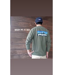 パタゴニア 長袖 スウェットシャツ S マスタード 39603 楽天市場】パタゴニア p－6 sweatshirt 39603の通販