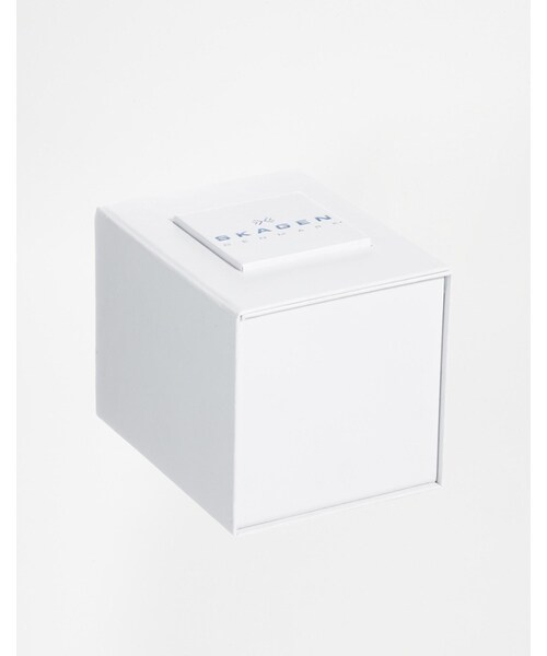 SKAGEN（スカーゲン）の「Skagen Chronograph Stainless Strap Watch（アナログ腕時計・メンズ・silver）」の2枚目の写真