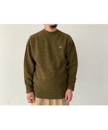 Scye | SCYE / Shetland Wool Crew Neck Sweater(ニット/セーター)