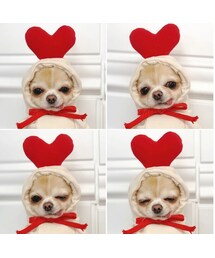 no brand（ノーブランド）の「Pet ♡ハートフーディー【即納】（ペットウェア）」