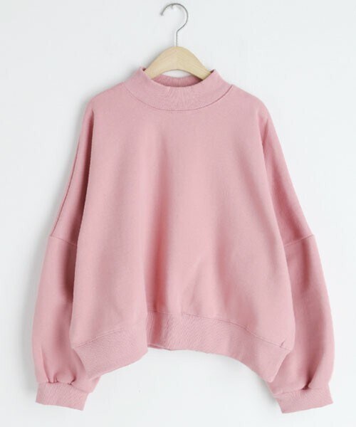 DHOLIC（ディーホリック）の「裏起毛ハーフネックスウェット（スウェット・レディース・ベージュ/ブルー/ピンク/グリーン・FREE）」の4枚目の写真