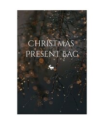 Christmas Present Bag