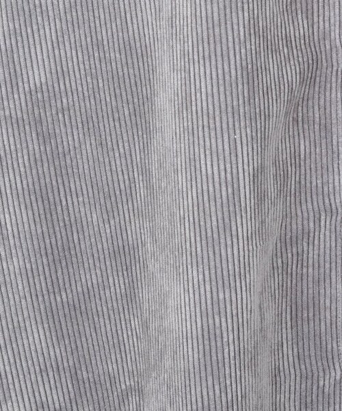 RAY CASSIN(レイカズン)の「Eナイロンコールジャンスカ(ワンピース/ドレス・レディース・ベージュ/グレー/生成・FREE)」の10枚目の写真