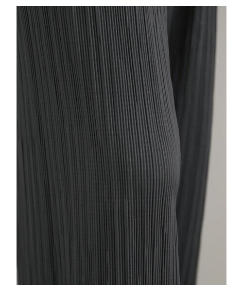 AMERICAN HOLIC(アメリカンホリック)の「プリーツワイドパンツ(パンツ・チャコールグレー/ライトベージュ/モカ・M/L)」の3枚目の写真