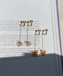 Lattice | ビーズさがりイヤリング(イヤリング)