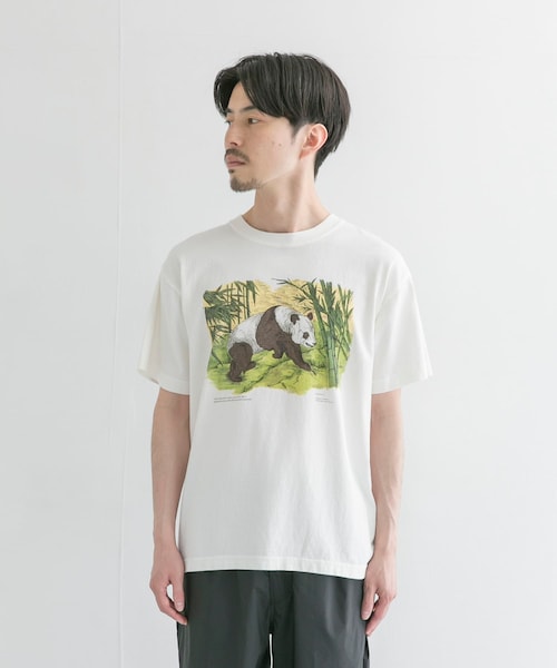 NICENESS（ナイスネス）の「NICENESS BERNARD（）」 - WEAR