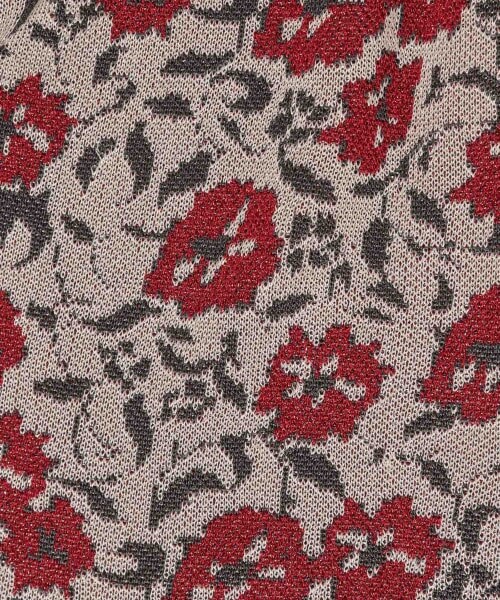 JEANASIS（ジーナシス）の「アソートガラジャガードパンツ（パンツ・レオパード()/フラワー()/チェック()/アフリカン()/キカガラ()・S/M）」の21枚目の写真