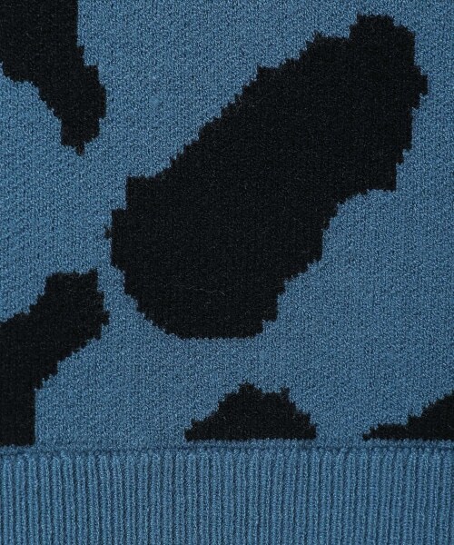 PAGEBOY（ページボーイ）の「カウガラビスチェ【先行予約】（トップス・ブラック/ブルー）」の13枚目の写真