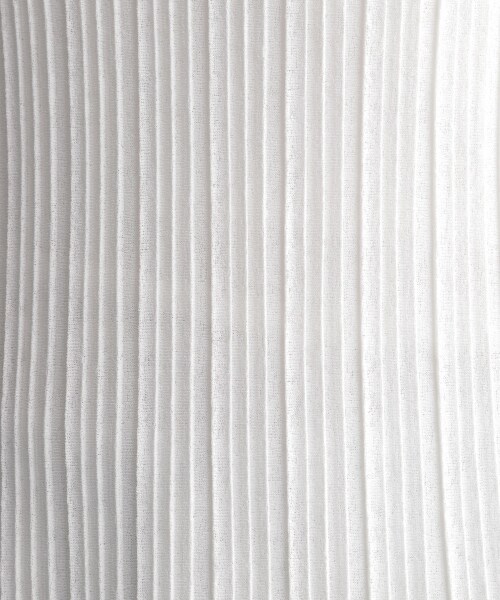 Andemiu（アンデミュウ）の「プリーツメロウカットソー（トップス・オフホワイト/ブラック/ベージュ・F）」の20枚目の写真