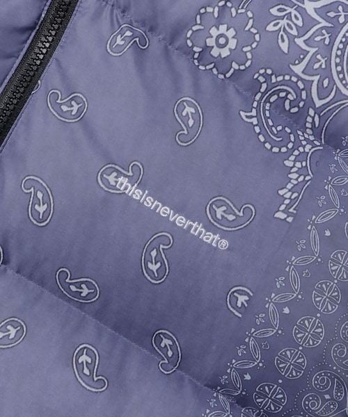 thisisneverthat(ディスイズネバーザット)の「THISISNEVERTHAT PERTEX T Down Jacket(その他・メンズ・B. Grey/B. Blue・M/L)」の20枚目の写真