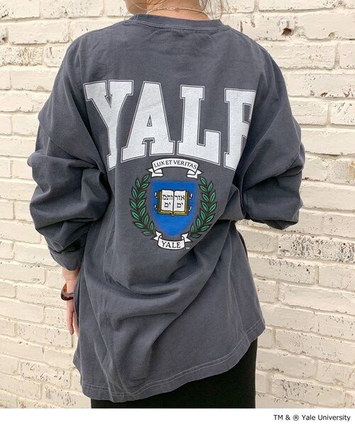 SHENERY(シーナリー)の「YALE TEE(Tシャツ/カットソー・レディース・ネイビー・F)」の1枚目の写真