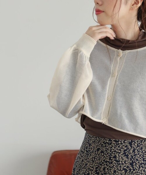 RAY CASSIN（レイカズン）の「メッシュシアータートルプルオーバー（トップス・レディース・ブルー/ブラウン/生成・FREE）」の2枚目の写真