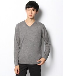 Johnbull Private labo | Vネックニット(ニット/セーター)