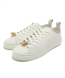 buddy | buddy Bull Terrier Smooth(スニーカー)