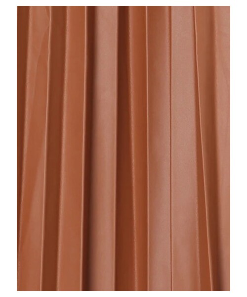 earth music&ecology（アースミュージックアンドエコロジー）の「フェイクレザープリーツスカート（スカート・ブラック/ライトブラウン・F）」の19枚目の写真