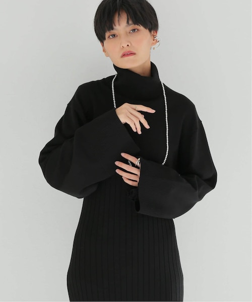 HARDY NOIR(アルディーノアール)の「ショートレングスタートルプルオーバー(トップス・ブラック/(001)/フリー/在庫あり)」の1枚目の写真