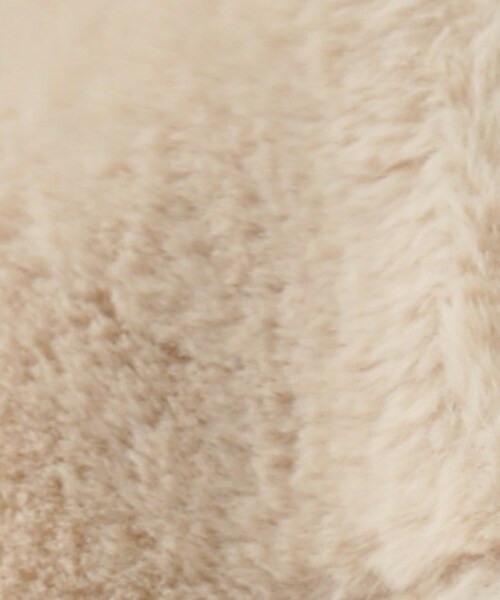 RAY CASSIN(レイカズン)の「ムートンライダースジャケット(ジャケット/アウター・レディース・ブラウン/生成/グレージュ・FREE)」の19枚目の写真