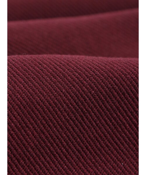 PAMEO POSE（パメオポーズ）の「WEDNESDAY ONEPIECE（ワンピース/ドレス・レディース・ブラック/レッド・F）」の17枚目の写真