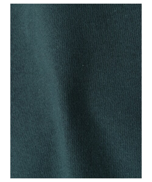 Green　Parks（グリーンパークス）の「SESAME STREET プリントスウェット（トップス・アイボリー/チャコールグレー/グリーン・F）」の16枚目の写真