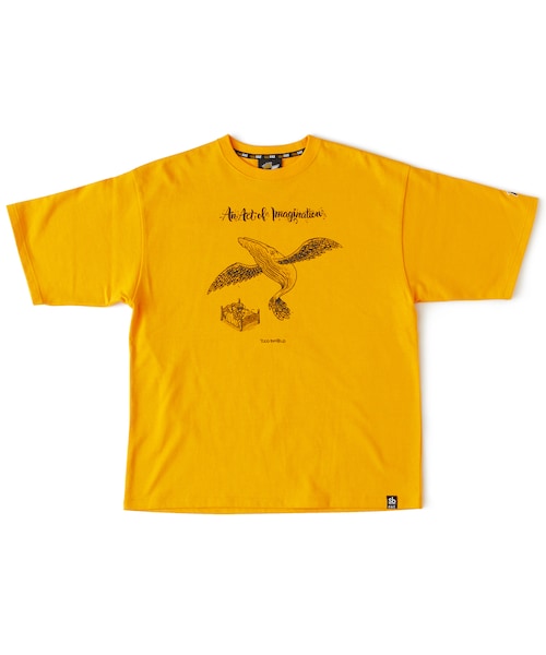 T.S. 