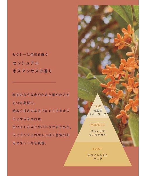 GYDA(ジェイダ)の「GYDAカラーダメージケアリペアシャンプー(その他コスメ・オフホワイト・F)」の4枚目の写真