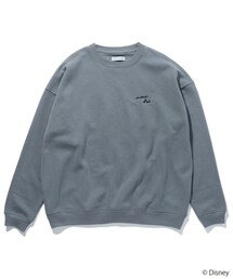 FREAK'S STORE（フリークスストア）の「【101 Dalmatians】FREAK'S STORE 別注 ビッグシルエット バックプリント クルーネックスウェット/刺繍【WEB限定】（トップス）」