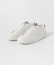 CONVERSE ALLSTAR クップポイントアニマル