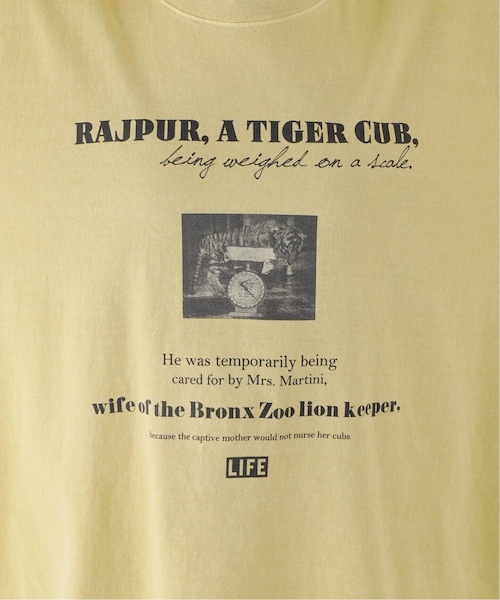 Spick & Span（スピックアンドスパン）の「≪BCS福岡+BCS限定≫【GOOD ROCK SPEED】LIFE フォトワイドTEE TIGER（その他・イエロー/L）」の11枚目の写真