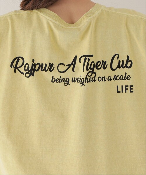 Spick & Span（スピックアンドスパン）の「≪BCS福岡+BCS限定≫【GOOD ROCK SPEED】LIFE フォトワイドTEE TIGER（その他・イエロー/L）」の12枚目の写真