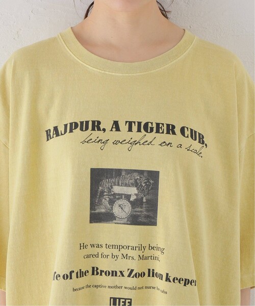 Spick & Span（スピックアンドスパン）の「≪BCS福岡+BCS限定≫【GOOD ROCK SPEED】LIFE フォトワイドTEE TIGER（その他・イエロー/L）」の7枚目の写真