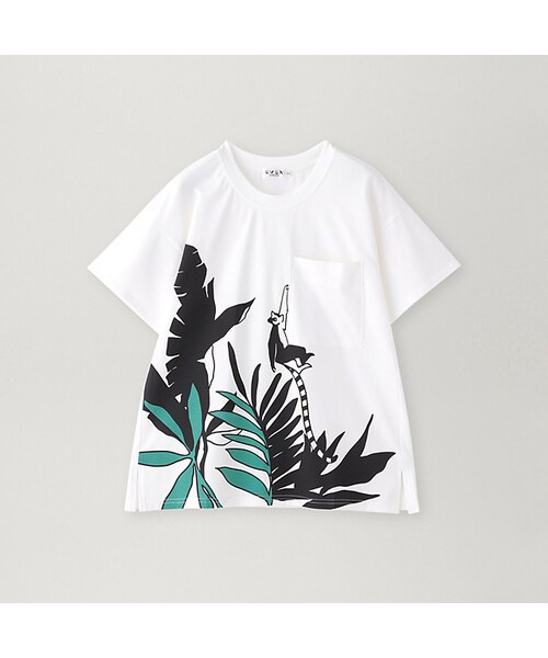 スポンゼル 18箱 使用期限2026年7月〜8 月