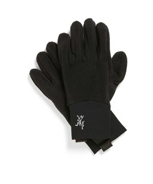 ARC‘TERYX アークテリクス DELTA GLOVE グローブ Pasted-20241113-