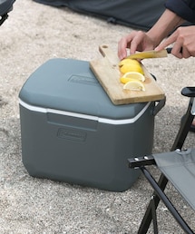 【別注】Coleman EXCURSION冰箱16QT