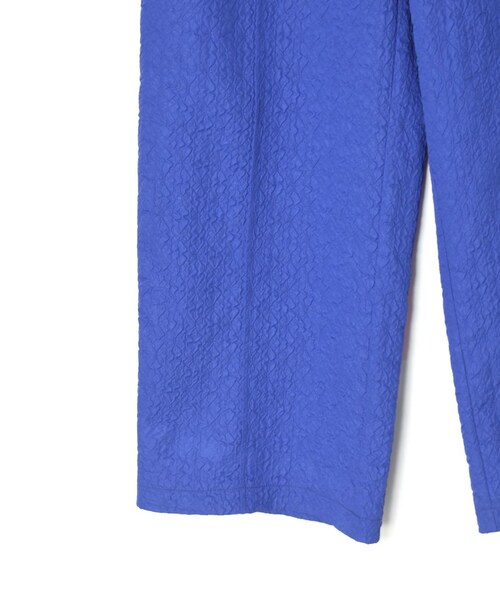 w closet(ダブルクローゼット)の「★先行予約★【Alley】イージーパンツ【11月上旬入荷】(パンツ・レディース・ブルー・FREE)」の6枚目の写真